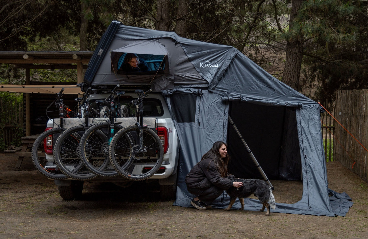 Anexo Carpa Cordillera